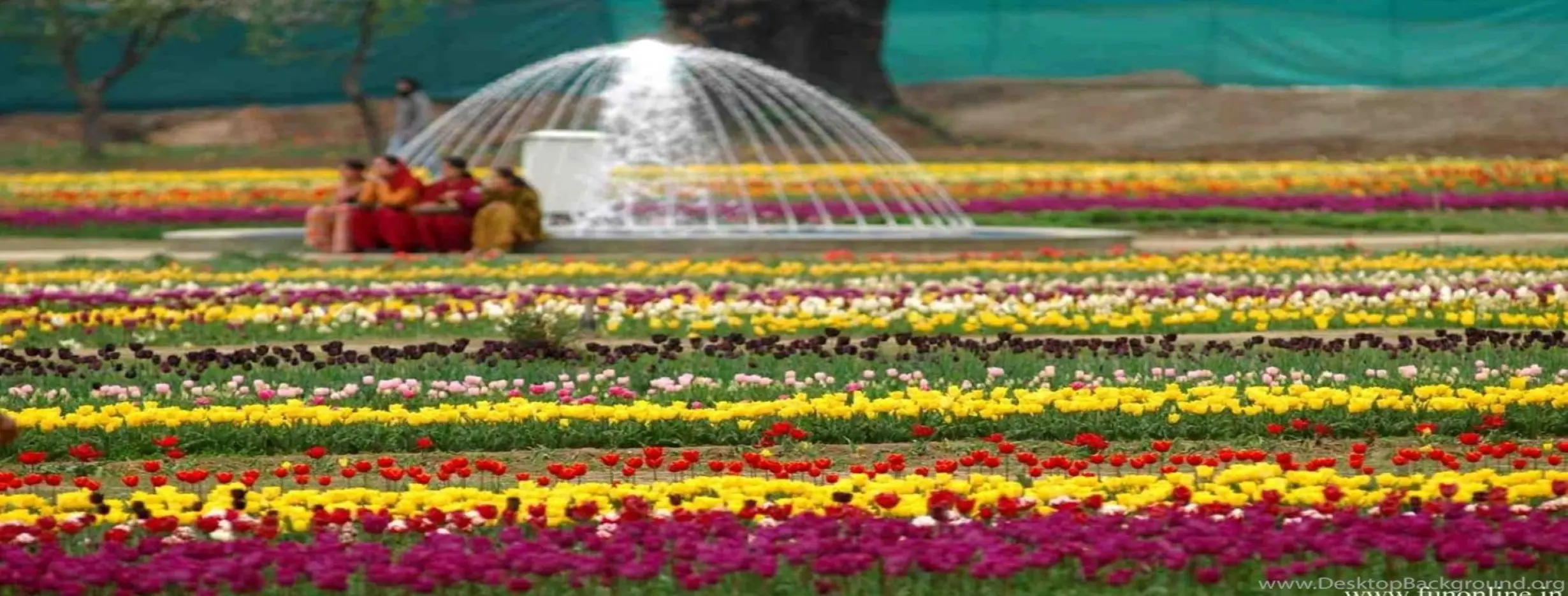 Image for Explore Mughal Gardens